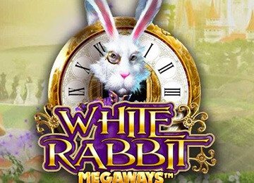 White Rabbit